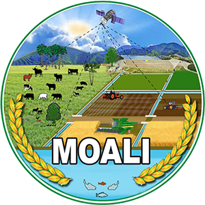 MOALI