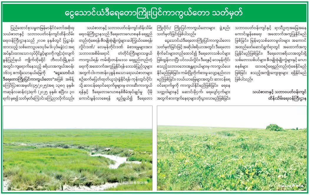 ငွေသောင်ယံဒီရေတောကြိုးပြင်ကာကွယ်တော သတ်မှတ်