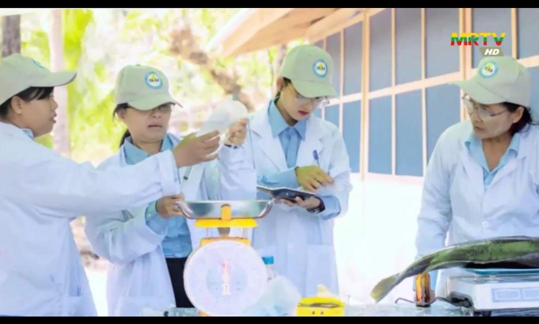 ပျားမွေးမြူရေး